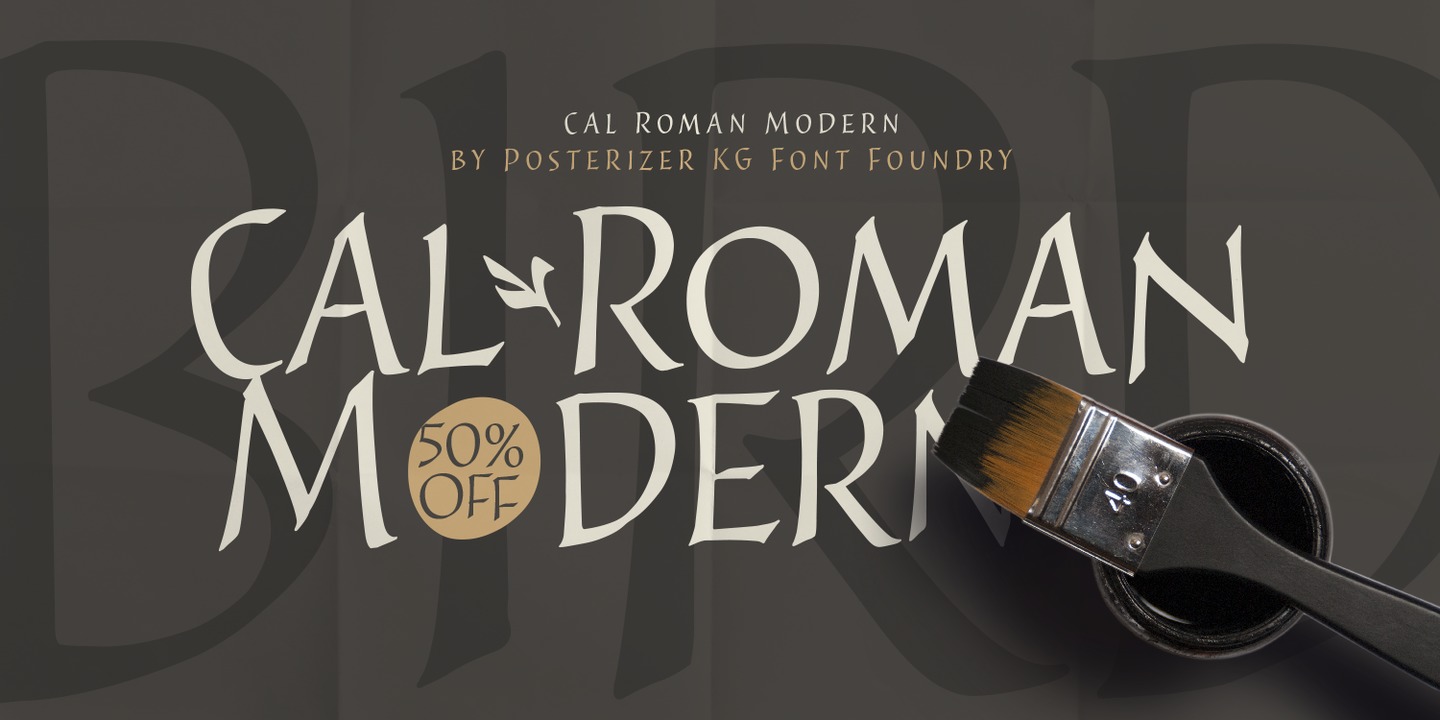 Przykładowa czcionka Cal Roman Modern #1